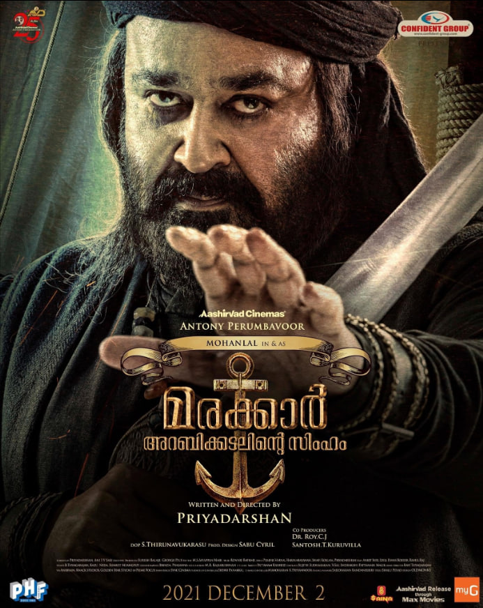 马拉喀尔:阿拉伯海狮